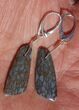 Light Blue Agatized Dinosaur Bone (Gembone) Earrings #54078-2